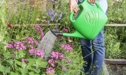 Le Jardin Debaine Fleuriste A Linards En Haute Vienne Conseils Dentretien